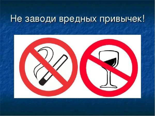 Не заводи вредных привычек
