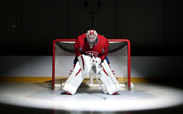 Хоккейный вратарь сзади