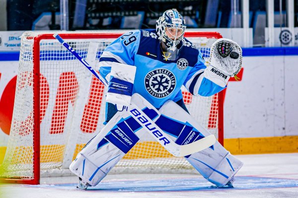Хоккейный вратарь Сибири