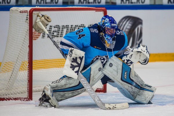 Алексей Красиков хк Сибирь