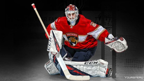 Хоккейные вратари 90х