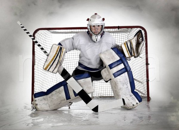 Вратарские ворота хоккей