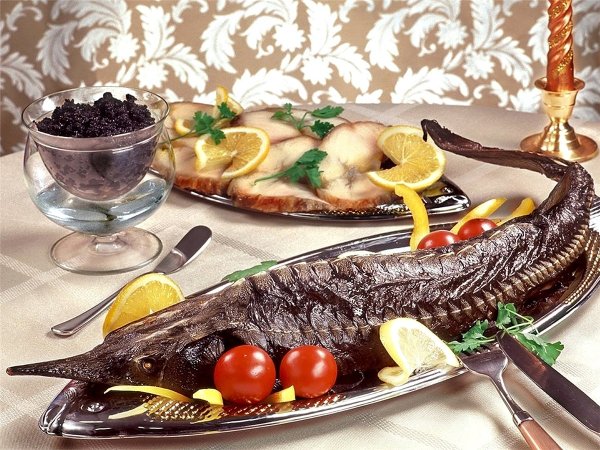 Стерлядь Царская рыба