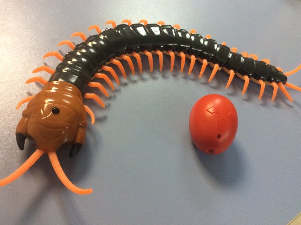Радиоуправляемая многоножка Scolopendra