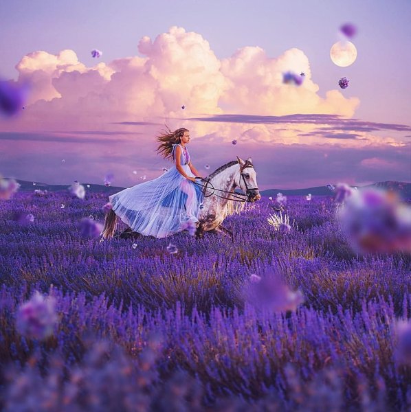 Фотосессия в лаванде