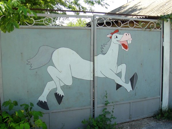 Рисунки на воротах