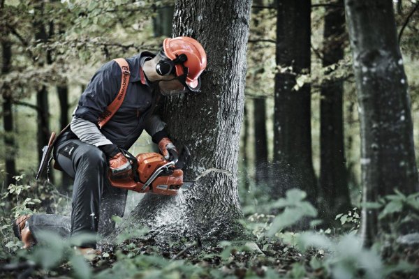 Бензопила Husqvarna 545