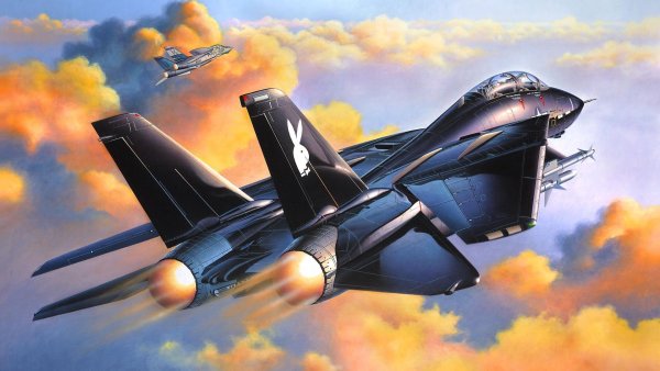 F-14 Tomcat арт