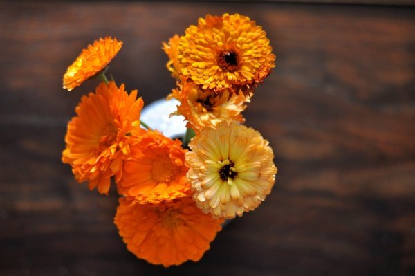 Календула + Ромашка