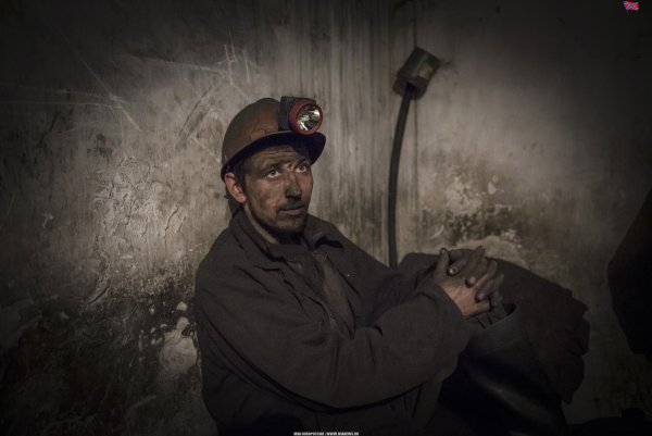 Домбас ДТЭК (DTEK Горно рабочий
