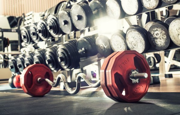 Штанга и гантели