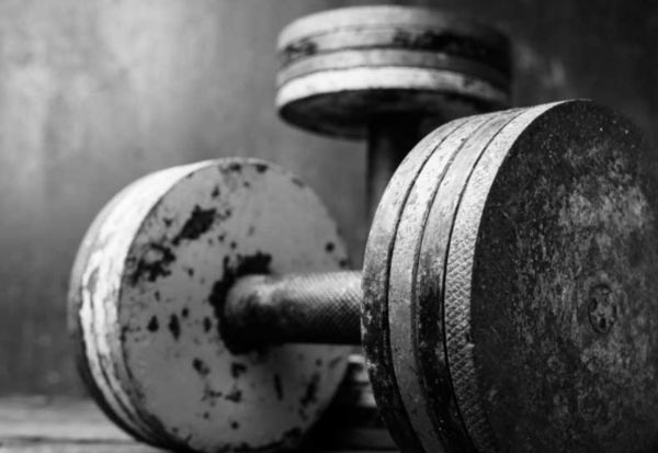 Регулируемая гантель DKN Adjustable Dumbbells