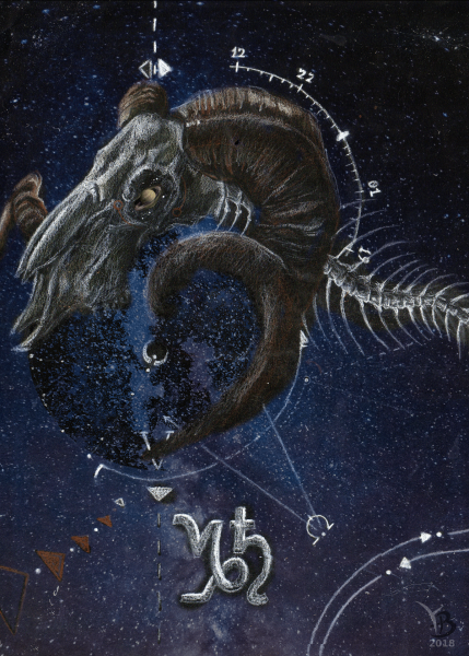 Capricorn знак зодиака