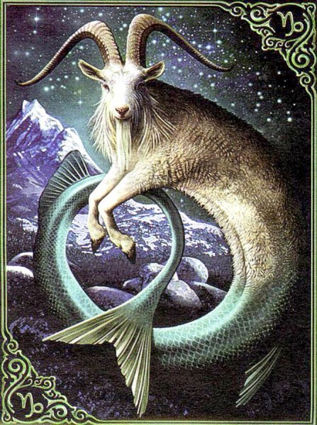 Каприкорн Capricorn