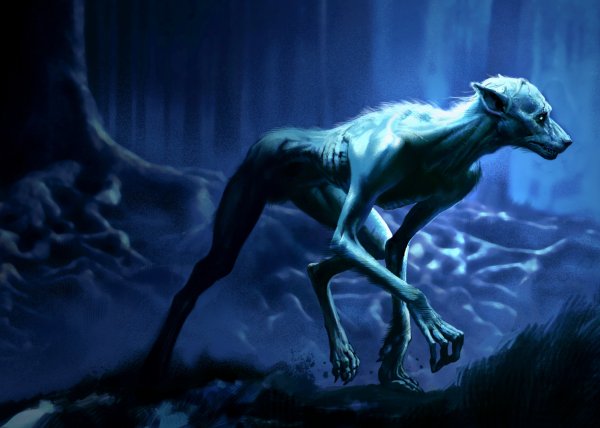 Профессор Люпин оборотень