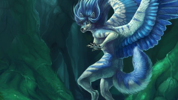 Фурри Симуран