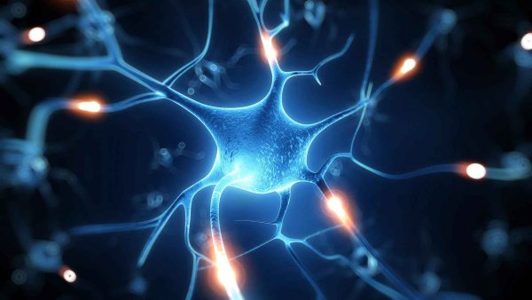 Нейроны человеческого мозга