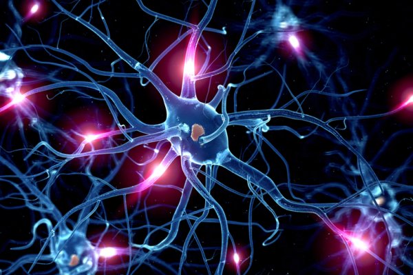 Нервный Импульс