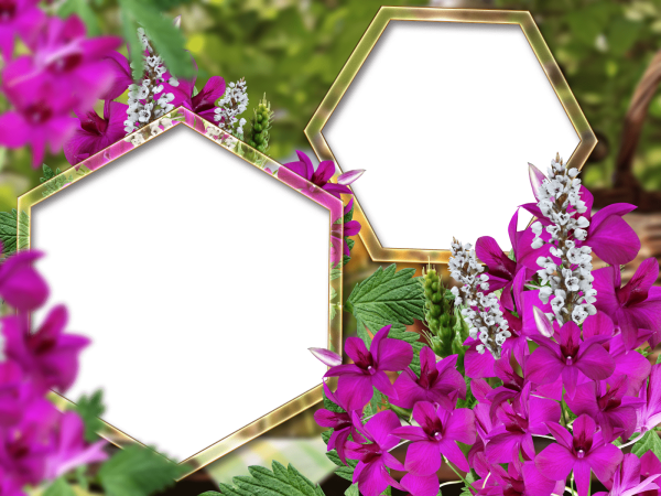 Рамки для фотошопа