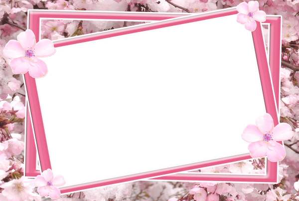 Красивые рамки