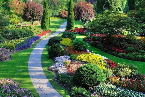 Красивый ландшафт