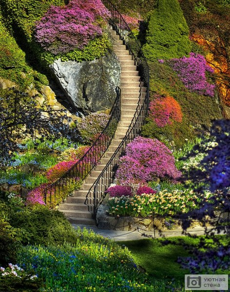 Сады Бутчартов Канада