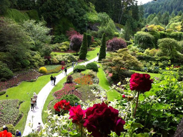 "Сады Бутчартов (the Butchart Gardens) Ванкувер, Канада