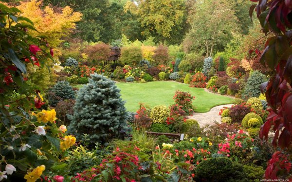 Красивый вид на сад