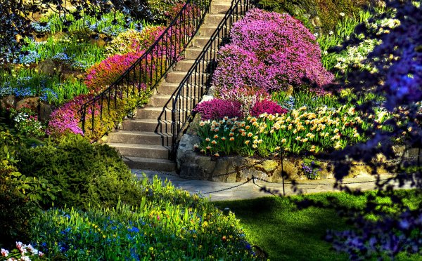 Цветочный сад