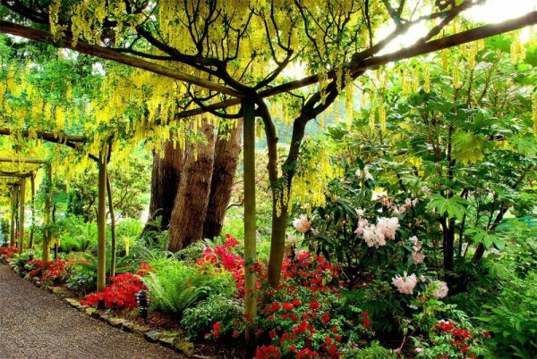 Сады Бутчартов затонувший сад