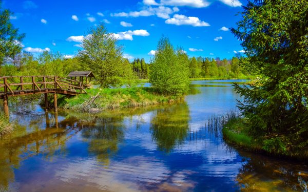 Природа лес речка