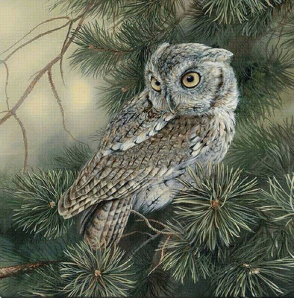 Кот Баюн Совиный лес