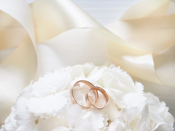 Цветы и Свадебные кольца