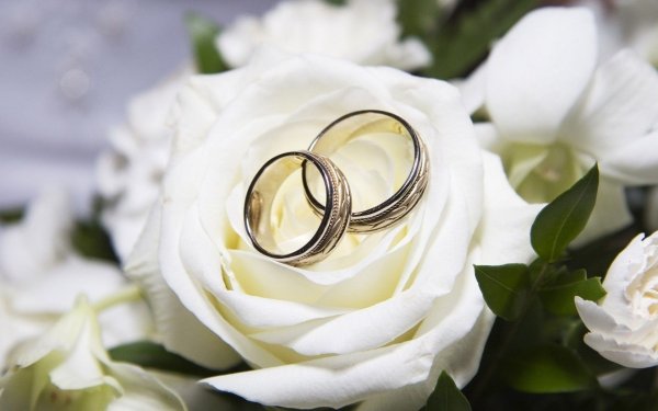 Молочный свадебный фон