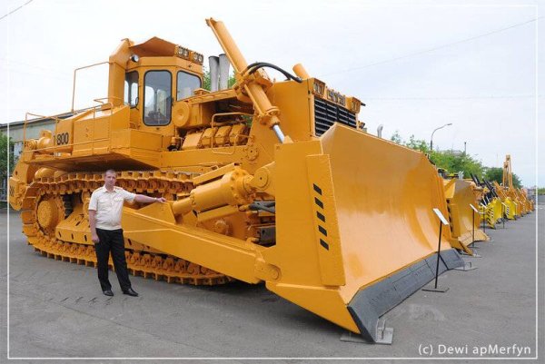 Т-800 бульдозер