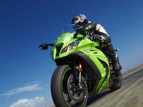 Красный АМОГУС