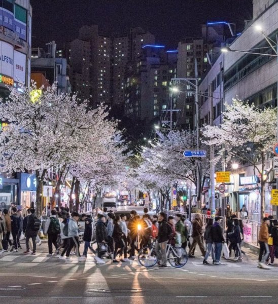 Ночная Корея Сеул