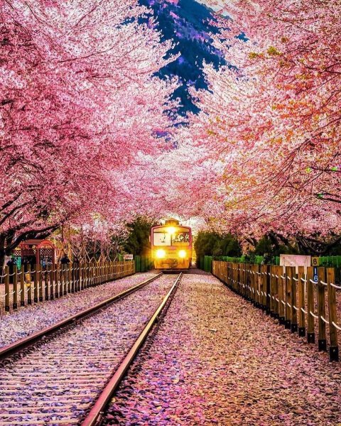 Япония манзаралари