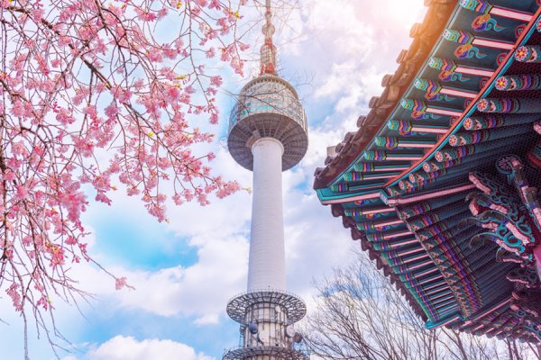 Башня Намсан и Сакура