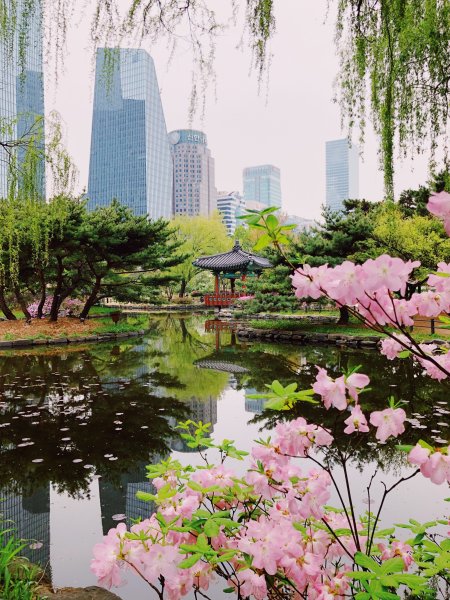 Сеул Южная Корея природа