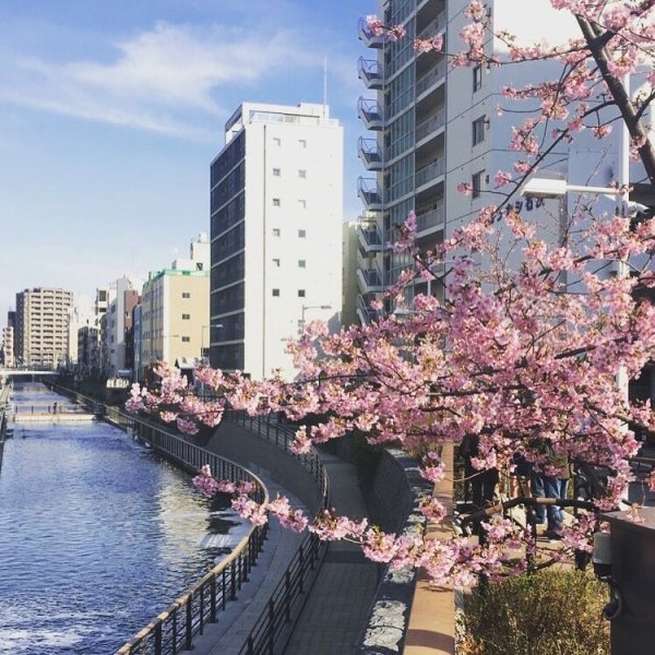 Южная Корея набережная