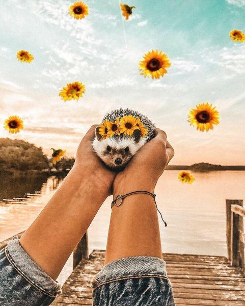 Позитивные картиночки