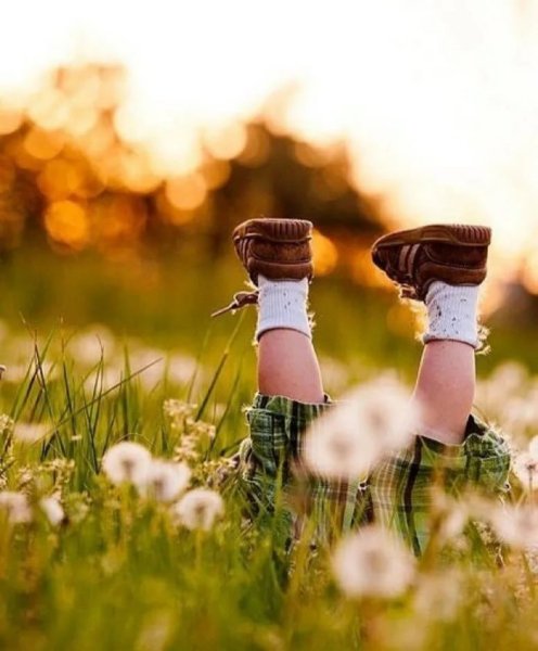 Лето счастье