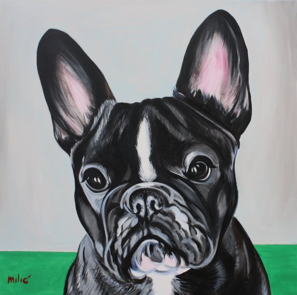 Арт Морис Влада французский бульдог