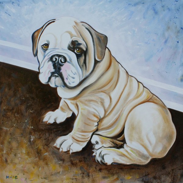 Яхнин бульдог по кличке дог