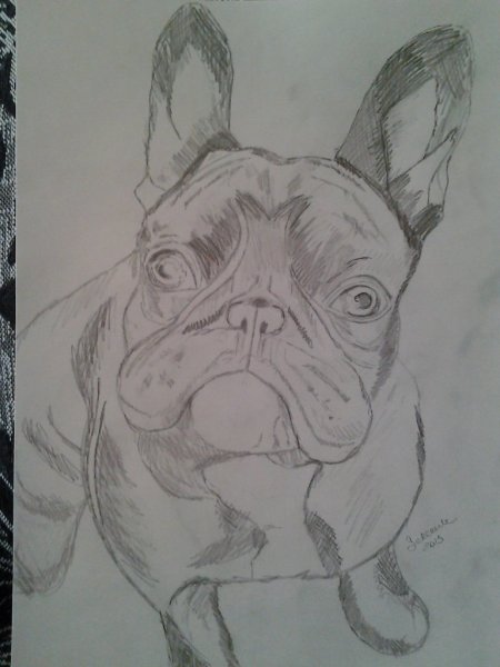 Булька рисунок