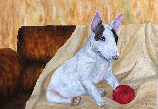 Фрэнк Фелиция Булька