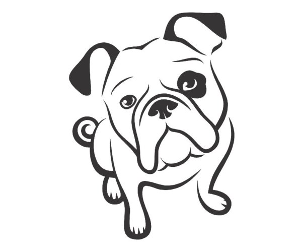 Собака,, французский бульдог по кличке дог