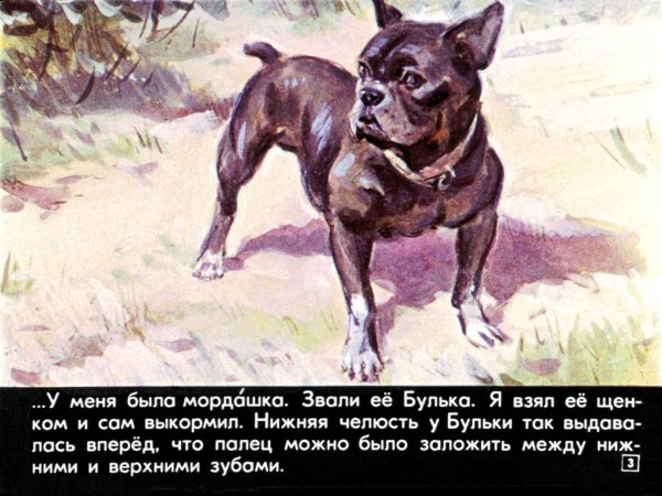 Лев Николаевич толстой Булька