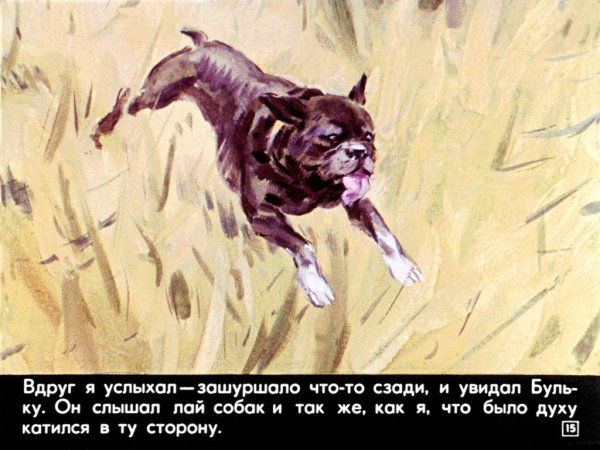 Лев толстой Булька